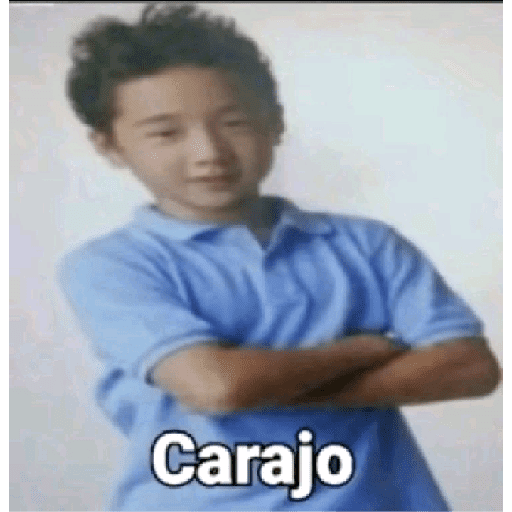STRAY KIDS MEMES 27