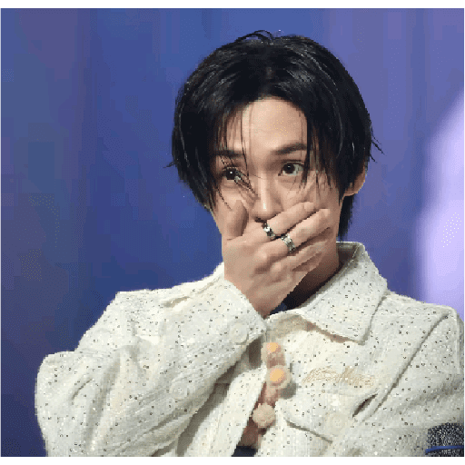 STRAY KIDS MEMES 18