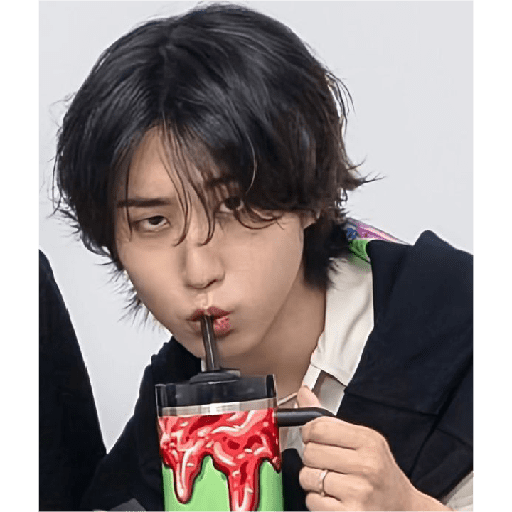 STRAY KIDS MEMES 1