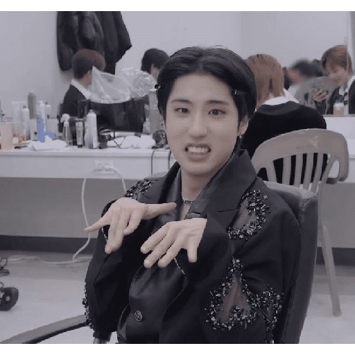 STRAY KIDS MEMES 3