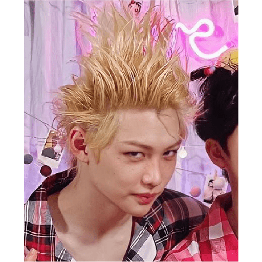 STRAY KIDS MEMES 4