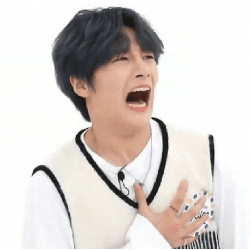STRAY KIDS MEMES 5
