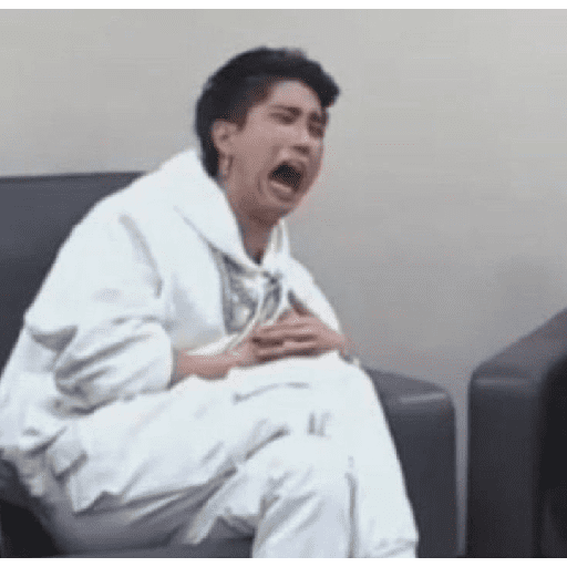 STRAY KIDS MEMES 6