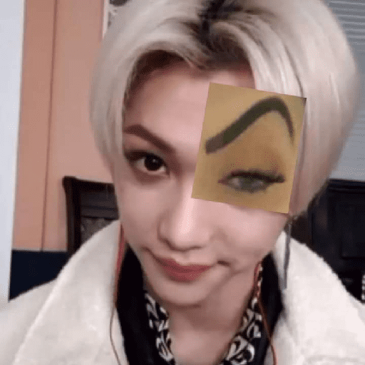 STRAY KIDS MEMES 7