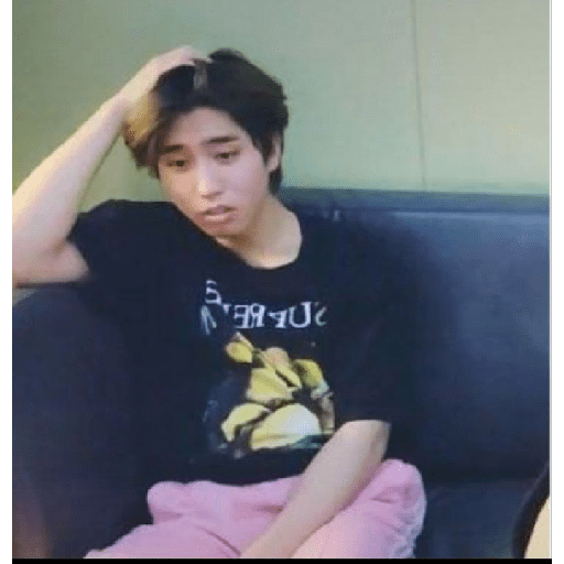 STRAY KIDS MEMES 9