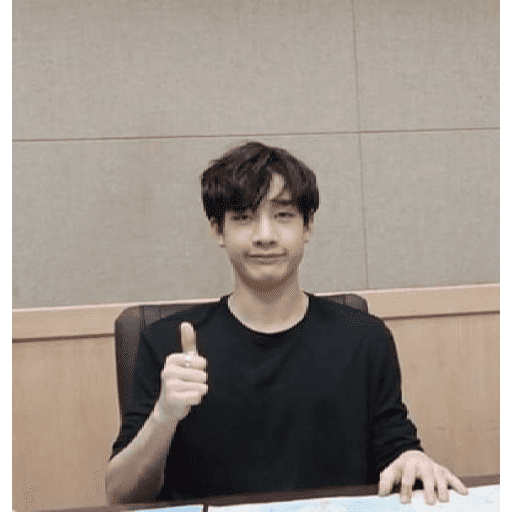 STRAY KIDS MEMES 10