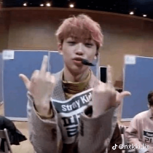 STRAY KIDS MEMES 11