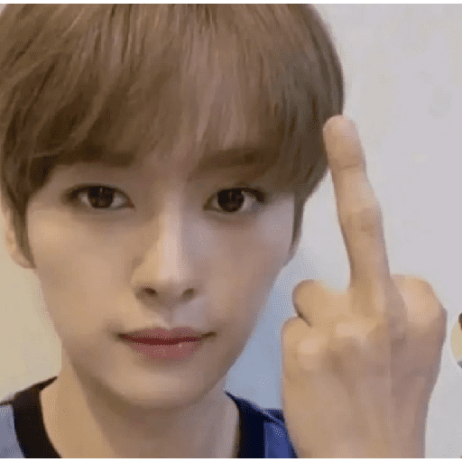 STRAY KIDS MEMES 12