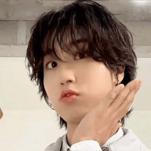 STRAY KIDS MEMES 13