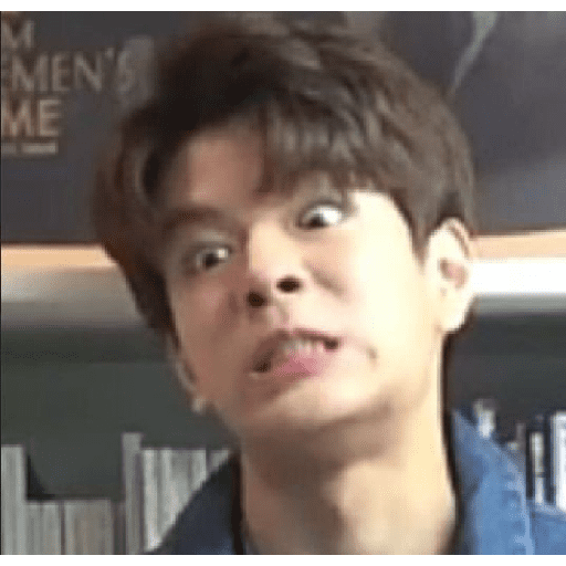 STRAY KIDS MEMES 14