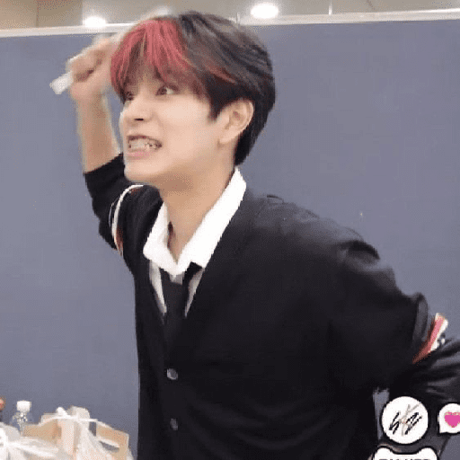 STRAY KIDS MEMES 15