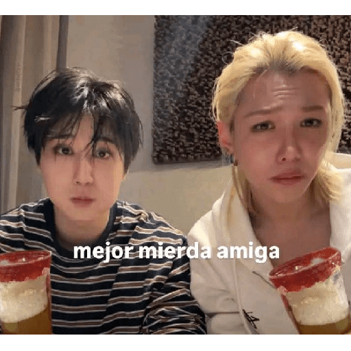 STRAY KIDS MEMES 28