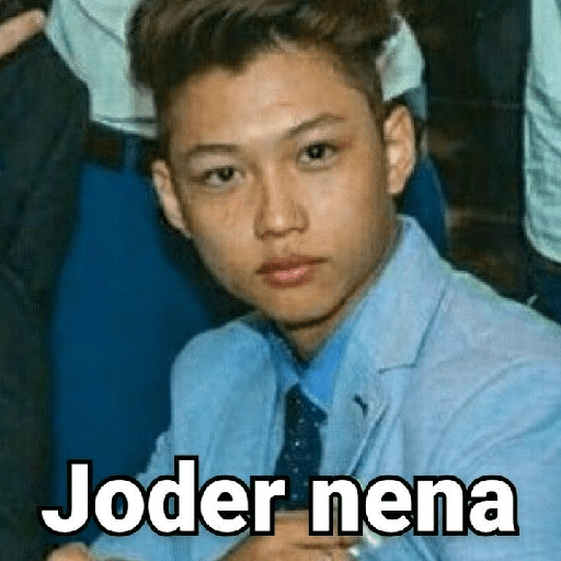 STRAY KIDS MEMES 29