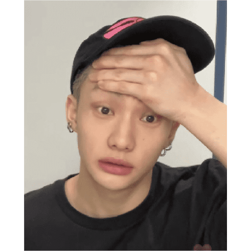 STRAY KIDS MEMES 16