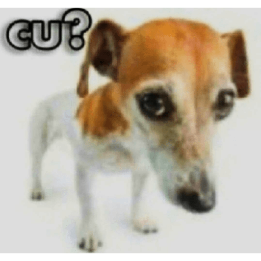 Shitpost 19