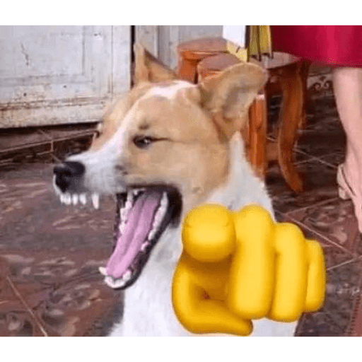 Sgsh
