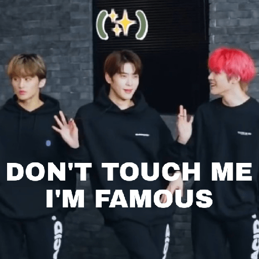 Nct Memes