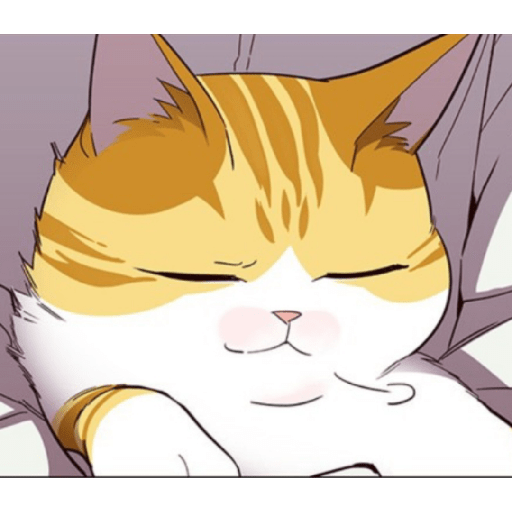 Best cat kaiden 5