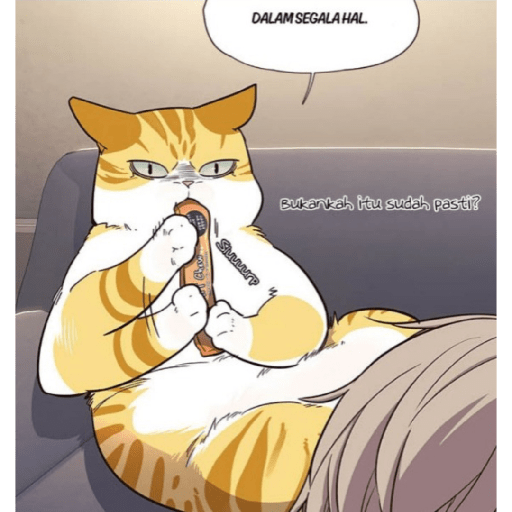 Best cat kaiden 17