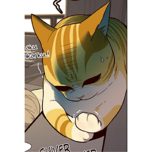 Best cat kaiden 15