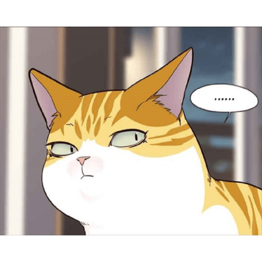 Best cat kaiden 4