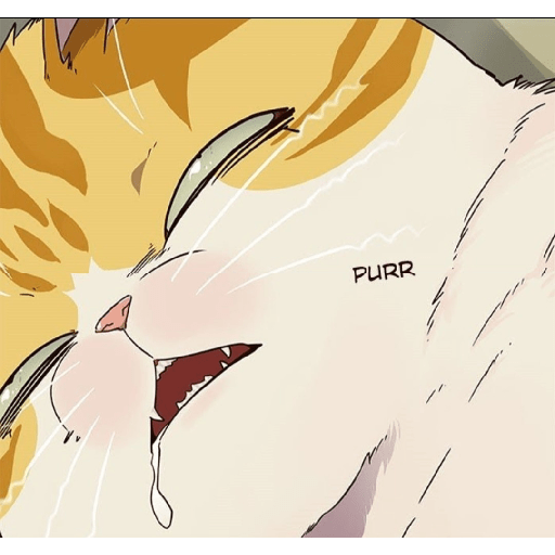 Best cat kaiden 29