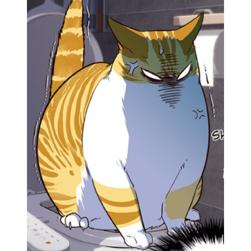 Best cat kaiden 26