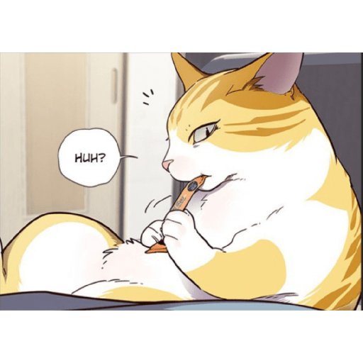 Best cat kaiden 9