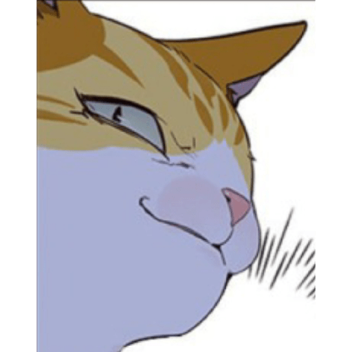 Best cat kaiden 23