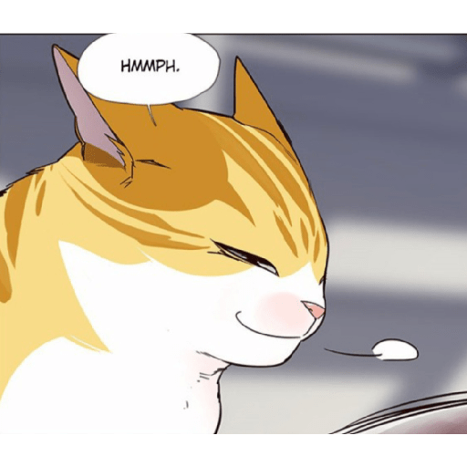 Best cat kaiden 19