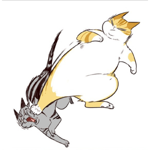 Best cat kaiden 11