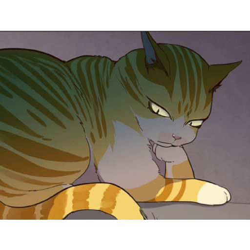 Best cat kaiden 8