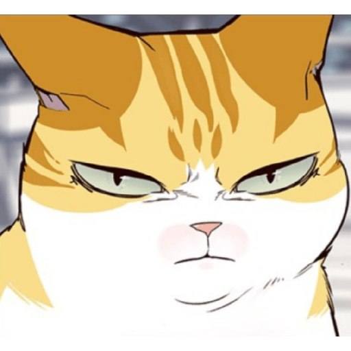 Best cat kaiden 24