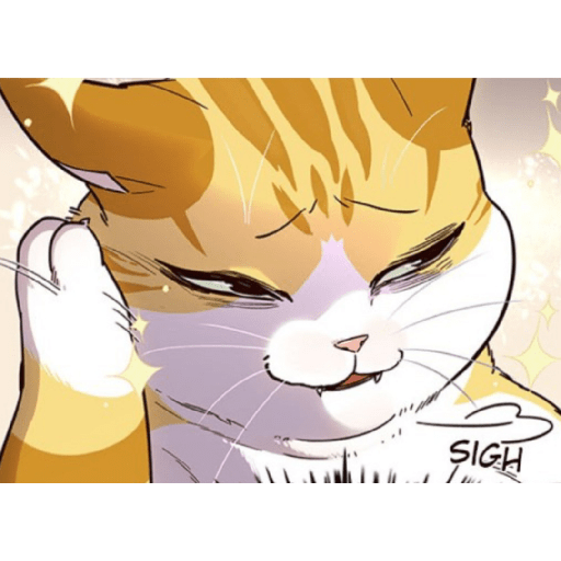 Best cat kaiden 27
