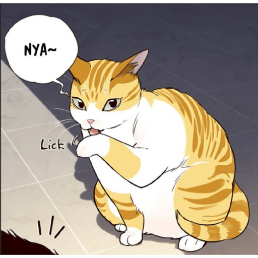 Best cat kaiden 25