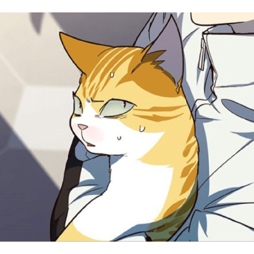 Best cat kaiden 21