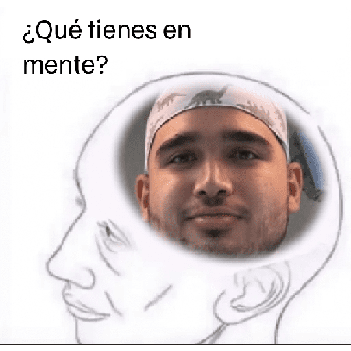 Paqueton 11