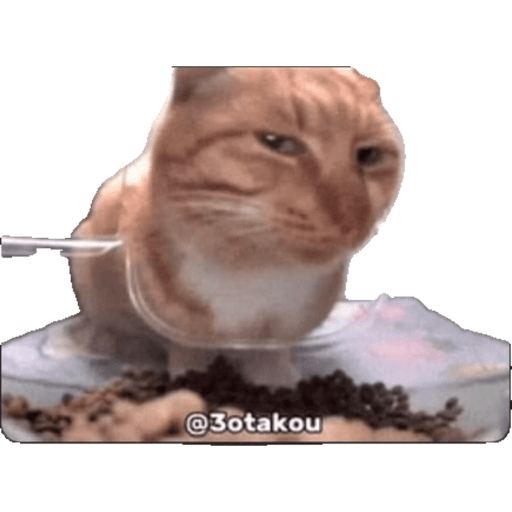Kkk 3