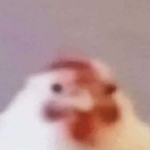 Uuy 23