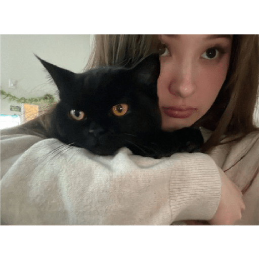 Tinakitten 25