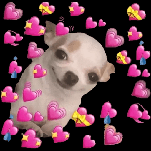 Love 26