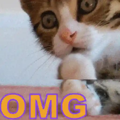 Gif funny 🤣 18