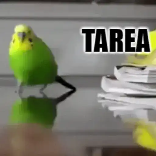 Gif funny 🤣 4
