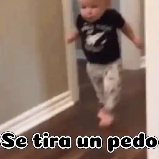 Gif funny 🤣 14