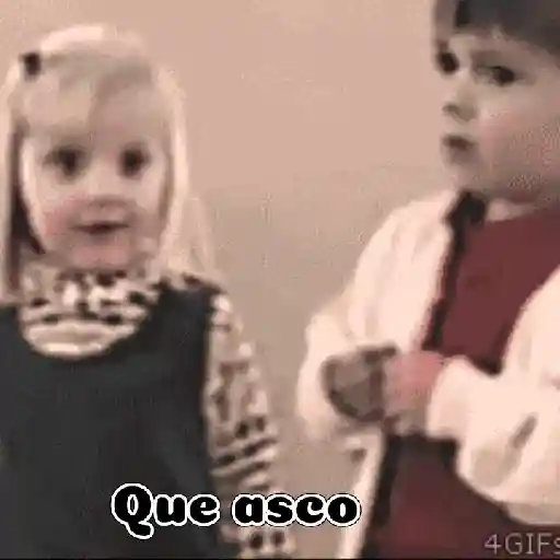 Gif funny 🤣 11