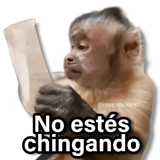 Memes Changuitos🐒