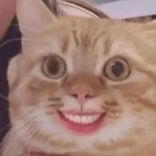 Gatos Reactions🐱 ^_^ 