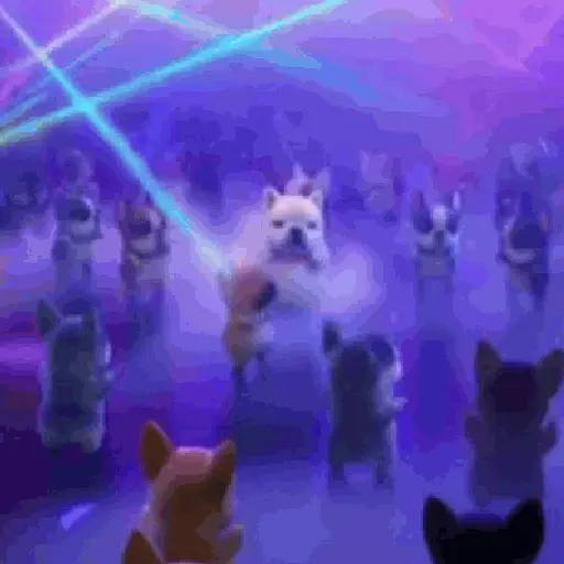 Pibble Dance🐶