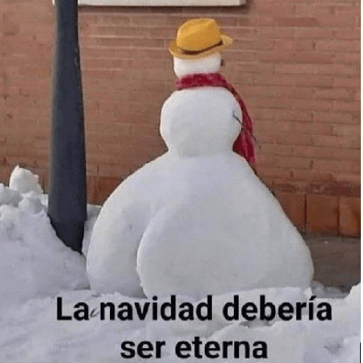 🎄🎅🏻Memes Navideños❄️🎄 10