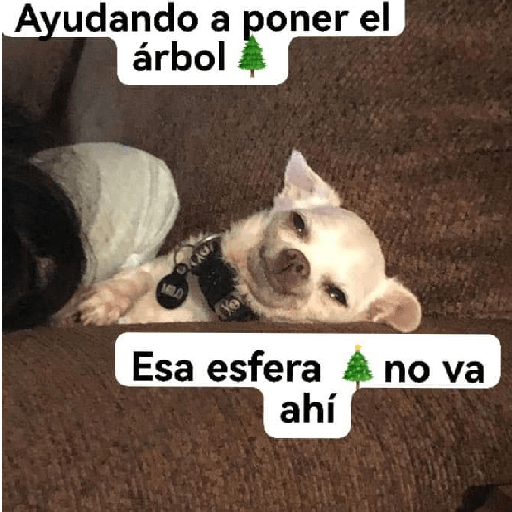 🎄🎅🏻Memes Navideños❄️🎄 8